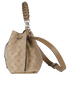 Muria, bottom view